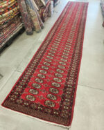 Bukhara fine - immagine 5